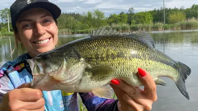 Largemouth Бас Рыбы Изолированы На Белом Фоне — стоковые фотографии и  другие картинки Рыба - Рыба, Окунь - рыба, Большеротый окунь - iStock