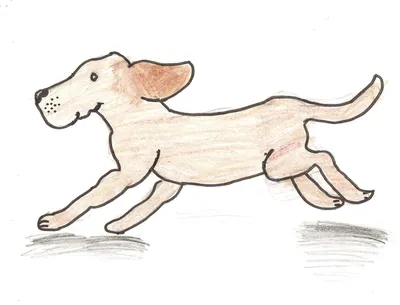 Картинка бегущей собаки: скачать бесплатно в png