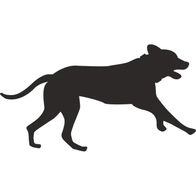 Изображение бегущей собаки: выберите формат для скачивания