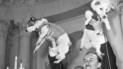 Фотографии космических собак Белки и стрелки: скачать в формате webp