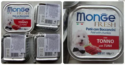 Фото собак: бесплатные обои с изображением блюда из собаки