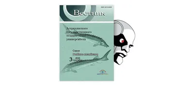 В Дунай выпустили 2 500 осетровых рыб для восстановления краснокнижных  популяций » Новости Одессы | ГРАД