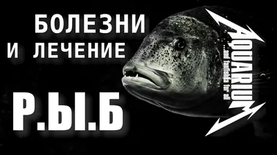 Аэромонозы лососевых и карповых рыб от “ФГБУ НЦБРП” в Москве.