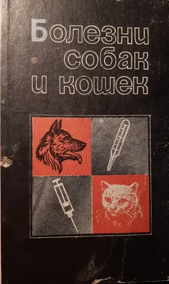Узнай о болезнях собак через фото: повысьте свои знания