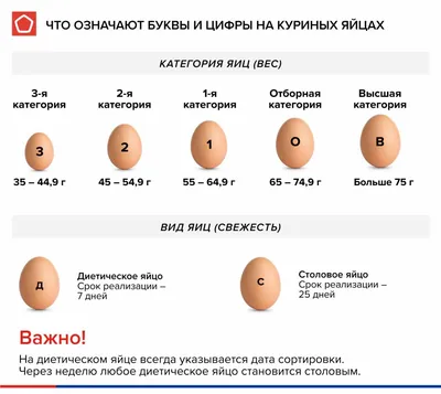 Большие яйца у человека фото