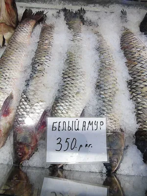 БРОТОЛА Сочная рыба по- гречески. - YouTube