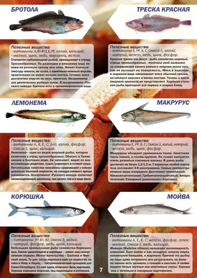 БРОТОЛА Сочная рыба по- гречески. | Готовим и едим дома | Дзен