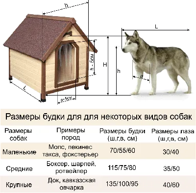 Фото будок для крупных собак: практичность и надежность