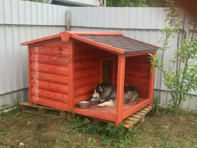 Уютные будки для собак: скачать бесплатно в формате jpg