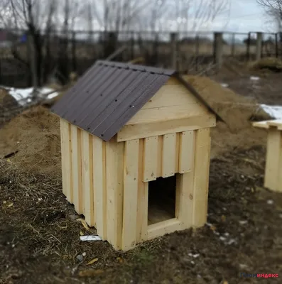 Фото будки для собак из дерева с практичными деталями