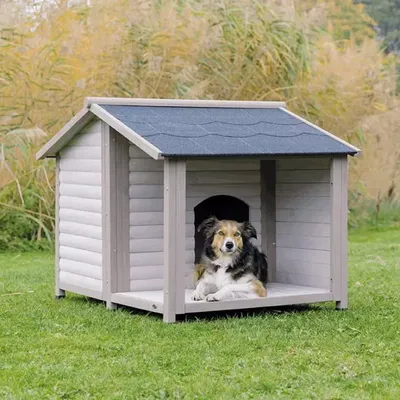 Удобные будки для собак из дерева - фото и описание