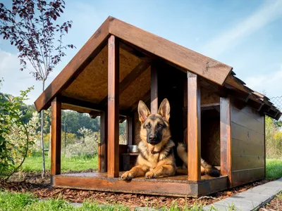 Картинки будок для собак из дерева в минималистичном стиле