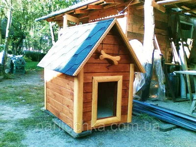 Найдите идеальную будку для собак из дерева на нашем сайте