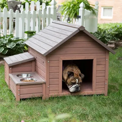 Фоновые изображения будок для собак из дерева