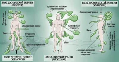 Человек внутри, 1977 — описание, интересные факты — Кинопоиск