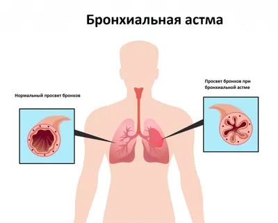 Выставка «Человек на карте: Дагестан. Жизнь изнутри»