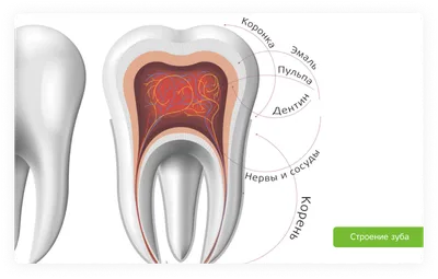 Эндоскопия: 5 способов проверить организм изнутри | MedAdvisor