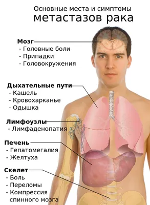 Европейский суд по правам человека и Венецианская комиссия Совета Европы:  взгляд изнутри — Новости — Образовательная программа «Юриспруденция:  частное право» — Национальный исследовательский университет «Высшая школа  экономики»