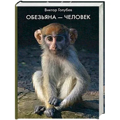 Science: 1 млн лет назад случайная мутация в ДНК сделала человека умнее  обезьяны - Газета.Ru | Новости