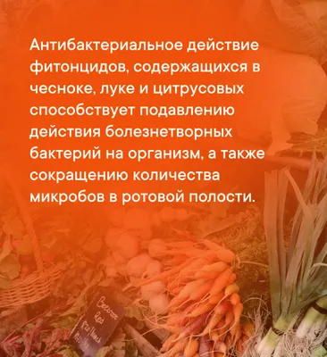 ОБНОВЛЯЕТ»: ВРАЧ НАЗВАЛА ОВОЩ, КОТОРЫЙ БЛАГОПРИЯТНО ВЛИЯЕТ НА ОРГАНИЗМ  ЧЕЛОВЕКА | Заря