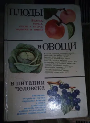 Польза овощей и фруктов для организма человека - ГБУЗ РМ РИКБ