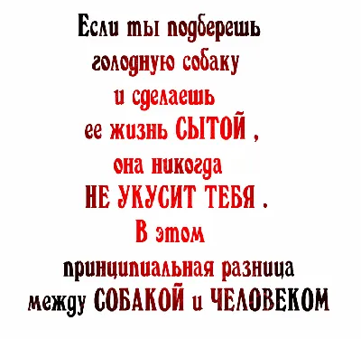 Чем больше узнаю людей тем больше нравятся собаки