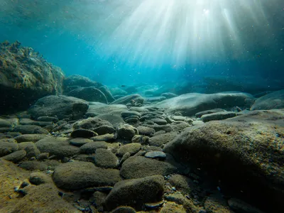 Черное море фото под водой