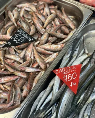 Черноморская рыба | Блог о Сочи | Дзен