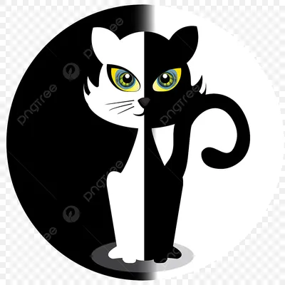 Чёрный кот, белая кошка на …» — создано в Шедевруме