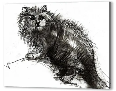 Идущий назад черный кот картинки PNG , движение, ходить, кошка PNG картинки  и пнг PSD рисунок для бесплатной загрузки
