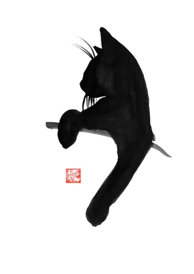 Идеи на тему «Черный кот (рисунок)» (630) | рисунок, кошачьи, кошки