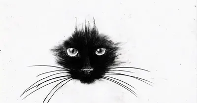 черный кот сидит с закрученным хвостом на белом фоне. стиль дудла. рисунок.  значок. домашние животные Иллюстрация штока - иллюстрации насчитывающей  красивейшее, художничества: 216326625