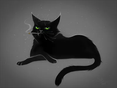 Кот рисунок, черный кот, млекопитающее, животные, кошка png | Klipartz