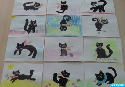Черная кошка на белом фоне - 58 фото