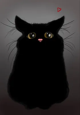 черный кот смотрит в камеру, черный кот, кошка, кошачьих фон картинки и  Фото для бесплатной загрузки