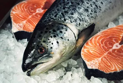 Червей нашли в рыбе в новосибирском магазине
