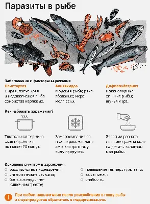 Паразиты в консервированной сайре - ЯПлакалъ