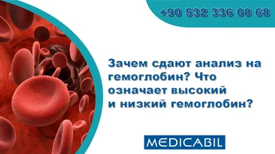 Что такое Миофасциальный синдром и как с ним бороться. Советы спортсменам  от Михаила Квиркелия