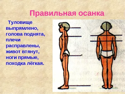 Тема №78 «Эфирное тело человека — часть 2» | Азбука загадок человечества |  Дзен