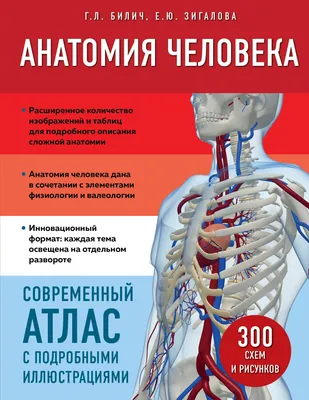 Конспект урока мир природы. 1 класс. ФГОС. ОВЗ. Коррекционная школа. Тема:  \"Осанка в жизни человека\" | Образование. Красота. Здоровье. | Дзен