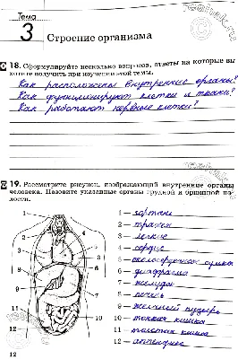 Тема №79 «Эфирное тело человека — часть 3» | Азбука загадок человечества |  Дзен