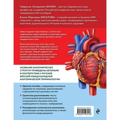 Тема №5 часть 3 «Астральное тело человека — внешний вид» | Азбука загадок  человечества | Дзен