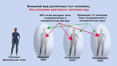 Тема №78 «Эфирное тело человека — часть 2» | Азбука загадок человечества |  Дзен