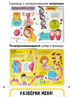 Тема «маленького человека» в произведениях Федора Михайловича Достоевского  сочинение по русской литературе | Сочинения Литература | Docsity