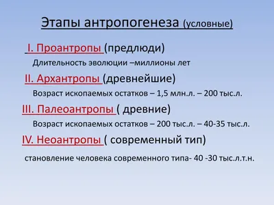 Тема лексическая \"Тело человека\"