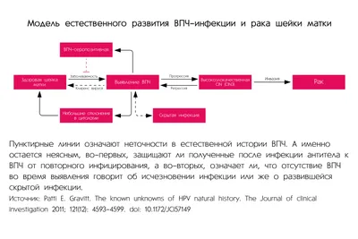 Вирус папилломы человека, ВПЧ - что это, причины появления, симптомы,  диагностика и лечение