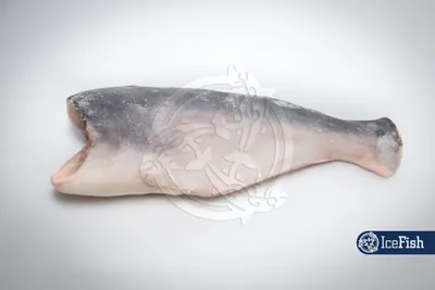 Названа опасная для здоровья рыба: Питание и сон: Забота о себе: Lenta.ru