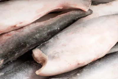 Пангасиус в духовке под сыром. Как приготовить рыбу в духовке #рыбавдуховке  - YouTube