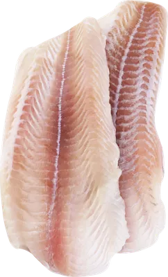 Пангасиус филе (Морской язык) глазурь (1/10) - купить по цене: 365 руб./кг  в интернет-магазине \"РыбоедовЪ\"