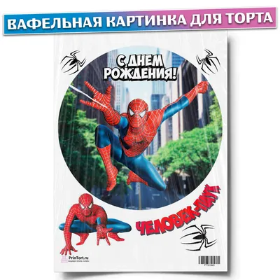 Человек-паук: Нет пути домой (Spider-Man: No Way Home) - Страница 55 -  Форум на КиноПоиске